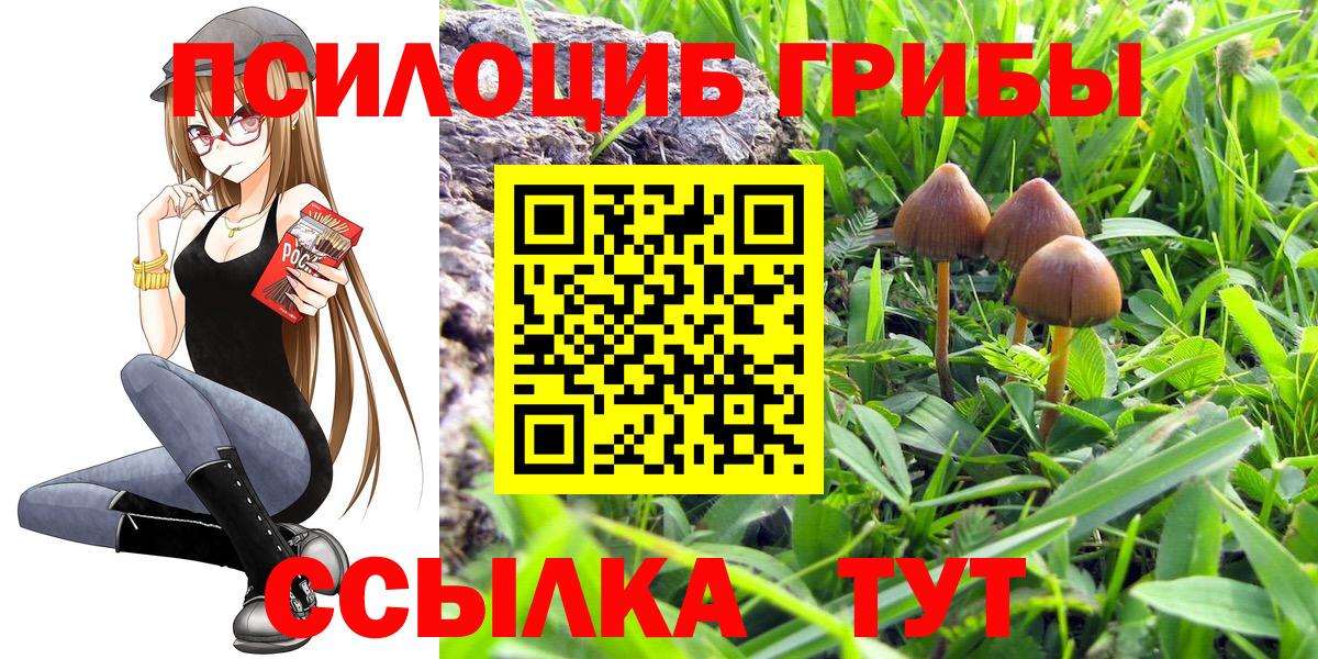 Псилоцибиновые грибы MAGIC MUSHROOMS  Вход с VPN  Галлюциногенные грибы мухоморы  Белая Калитва 